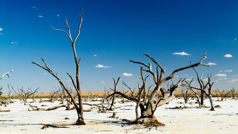 Planos De Adapta O S Mudan As Clim Ticas Tratamento De Gua