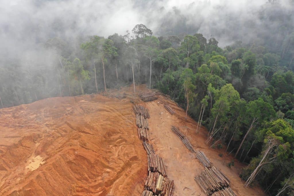 Inpe desmatamento aumenta no Cerrado e cai na Amazônia