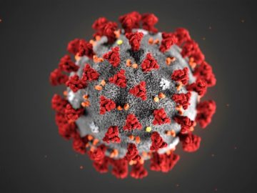 coronavirus