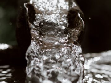 agua