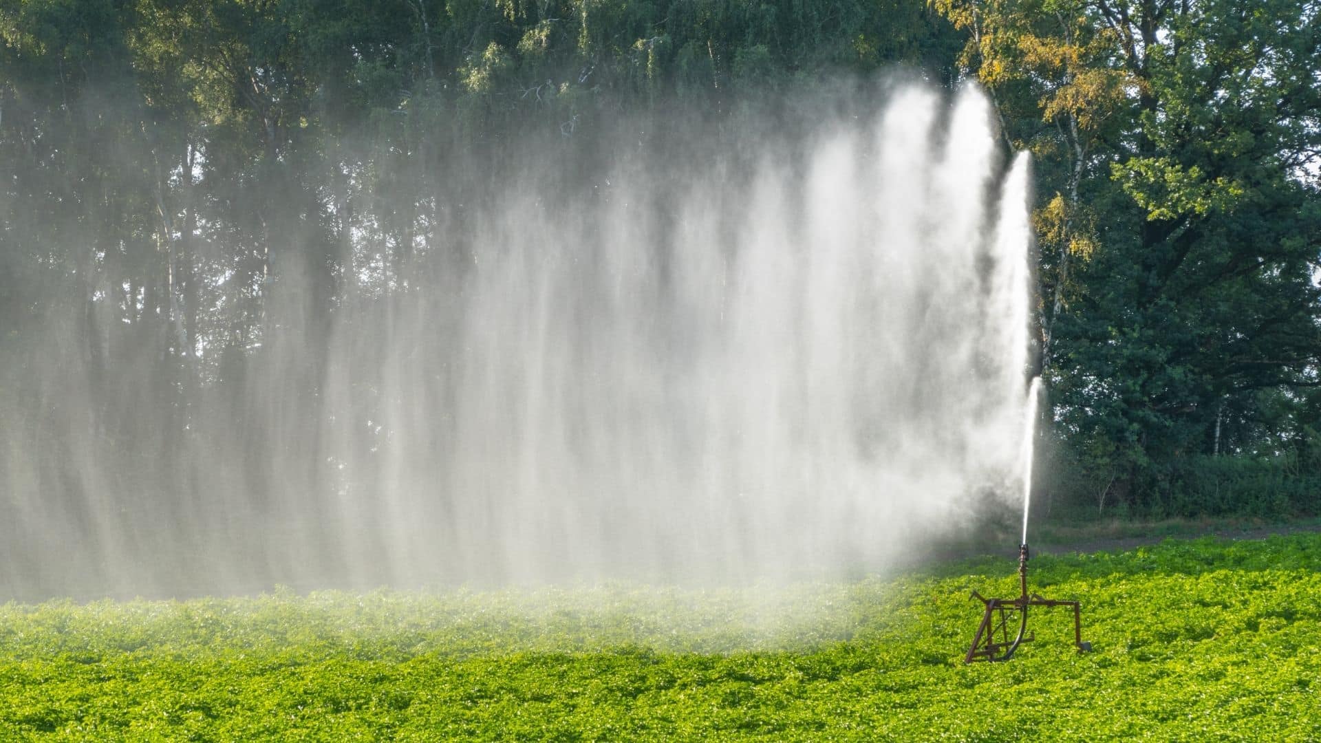 Uso da água na irrigação