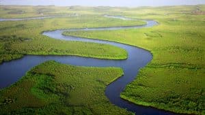 A importância do Pantanal