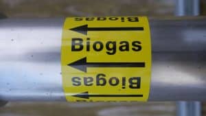 Biogás tem crescimento