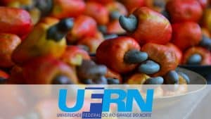 UFRN cria solução sustentável para tratamento de água