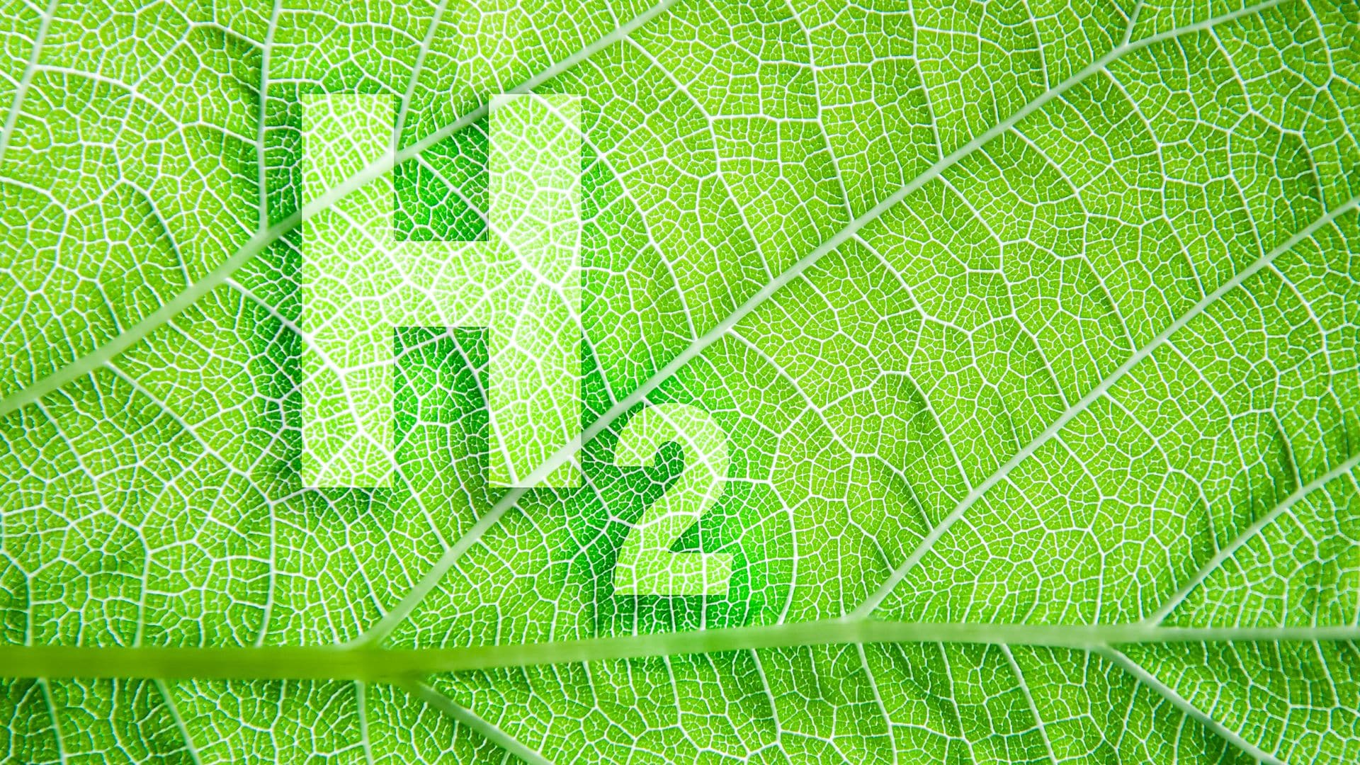 Ilustração do Hidrogênio Verde