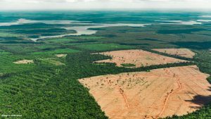 Amazônia vulnerável