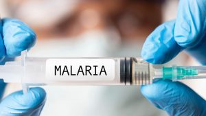 Vacina Malária USP