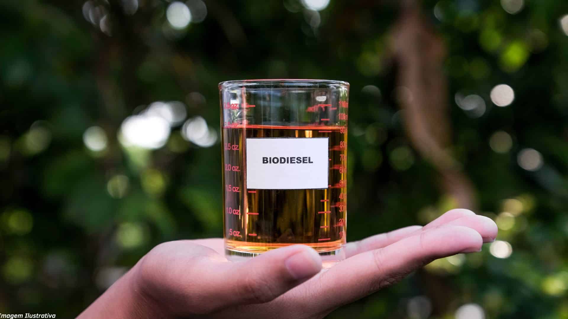 Biodiesel Biocombustivel