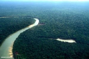 Acordo de Paris vai além da Amazonia - imagem da floresta Amazônica