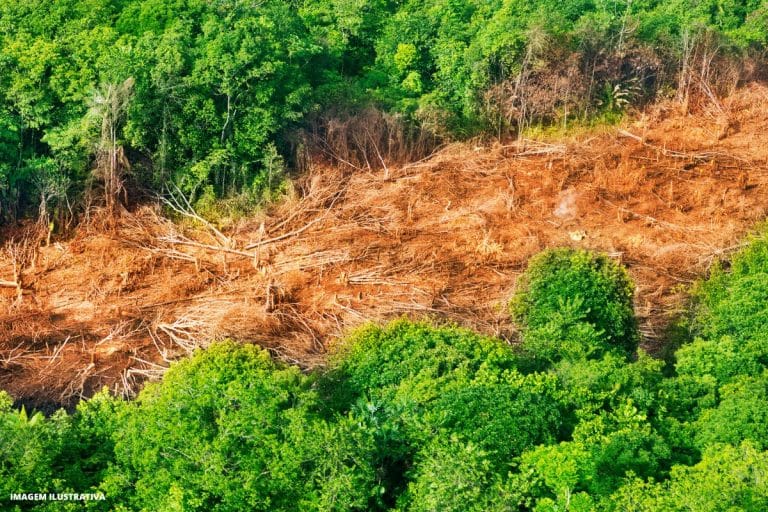 Desmatamento na Amazônia
