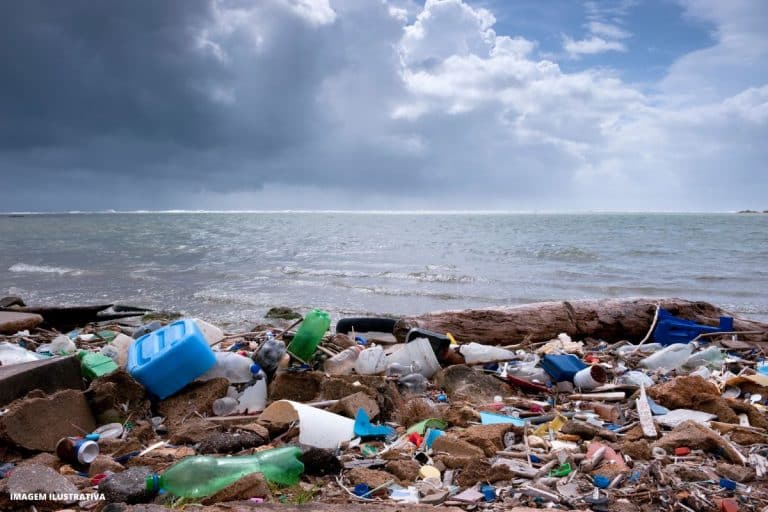 Ecossistema