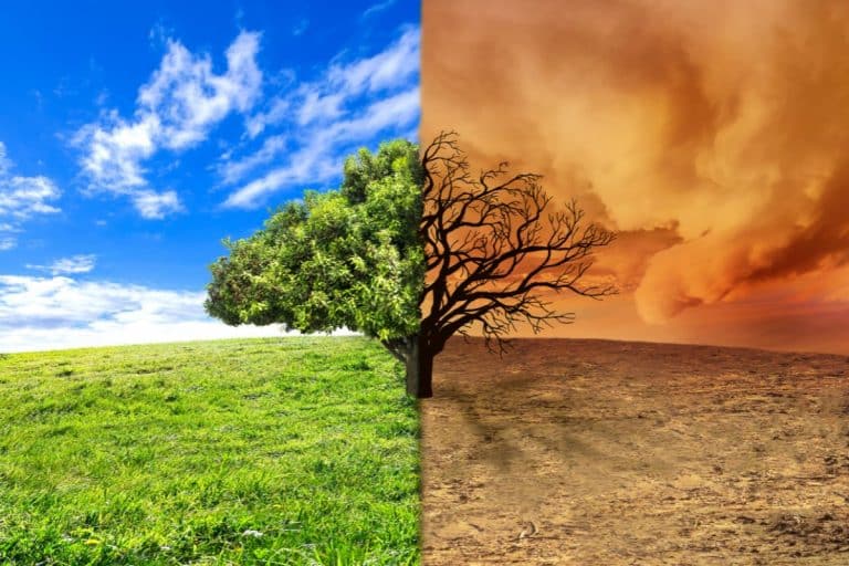 MUDANÇA CLIMÁTICA
