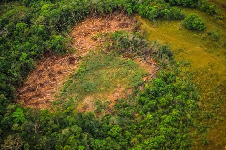 Plano Amazônia