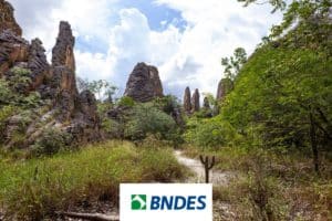 BNDES anuncia R$ 50 milhões para restauração ecológica na caatinga e quase 1,5 mil cisternas no semiárido