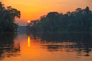 Crise climática Floresta Amazônica