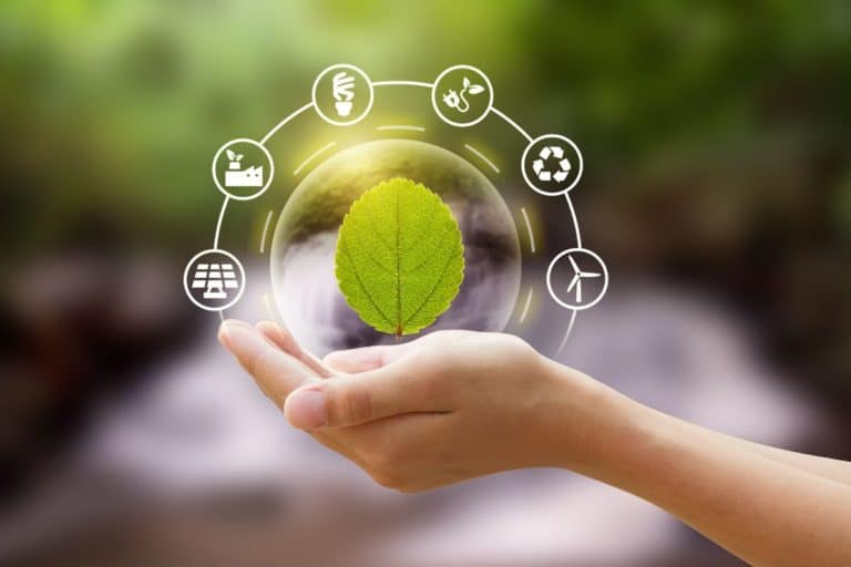 O recorde de emissões de green bonds, títulos de dívidas com o objetivo de financiar projetos sustentáveis, indica que governos, instituições financeiras e empresas estão avançando em estratégias net zero