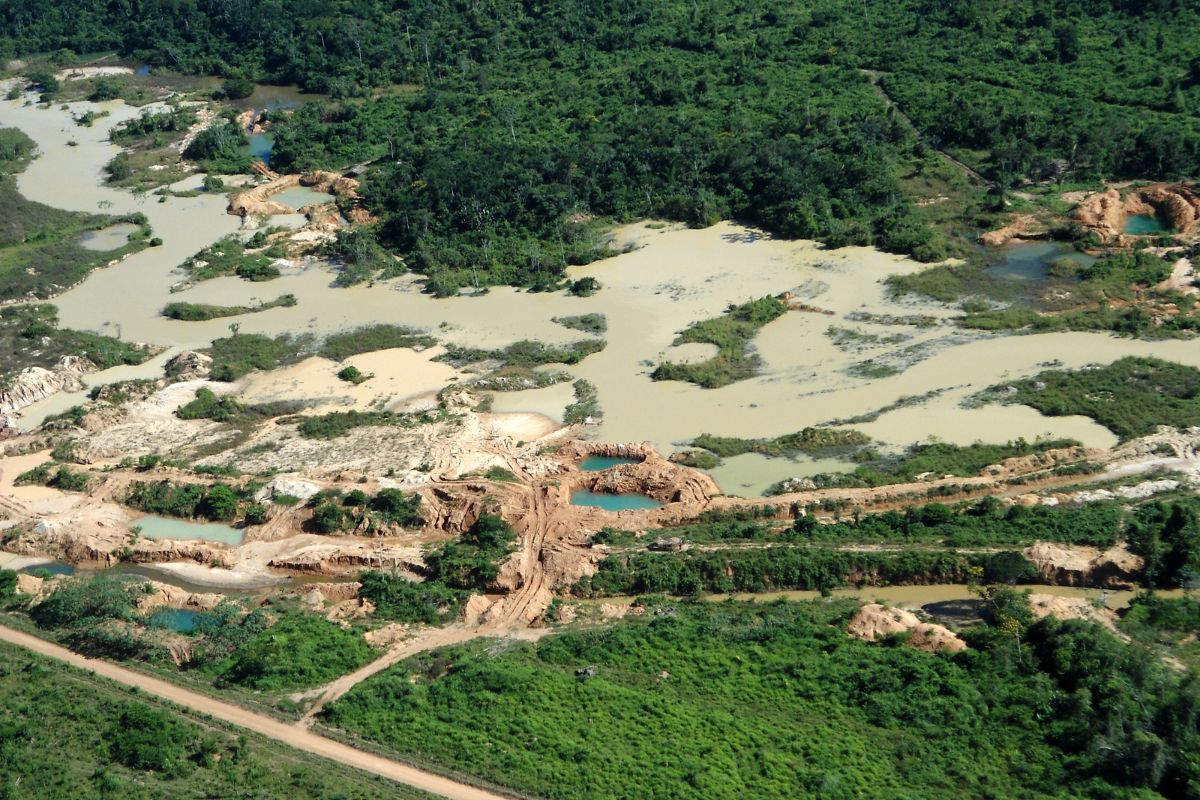 Estudo mostra que mineração na Amazônia é um risco à biodiversidade