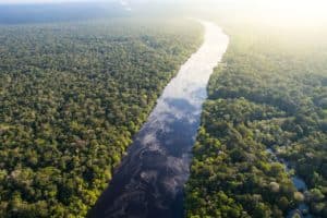 Tráfico de drogas acelera degradação ambiental e crimes na Bacia Amazônica