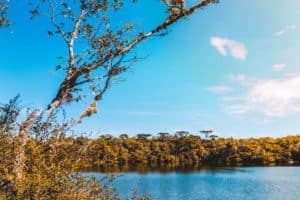Governo do Paraná estabelece regulamentação inédita para reuso de água