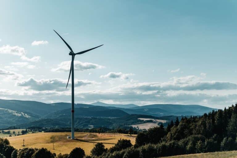 Energia eólica completa 20 anos no Brasil e se prepara para uma nova fase: a do hidrogênio verde