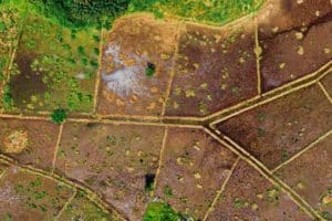 Brasil quer alavancar recuperação de terras degradadas