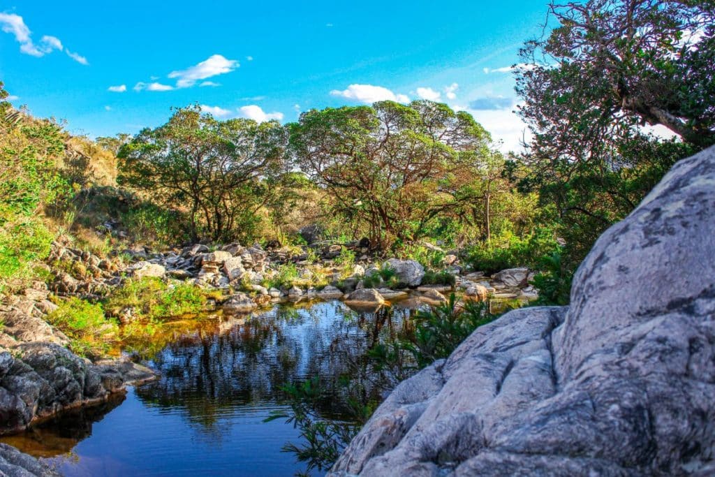 Dia do Cerrado destruição do bioma ameaça segurança hídrica do Brasil