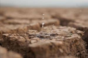 Organizações se mobilizam ante a crise hídrica mundial