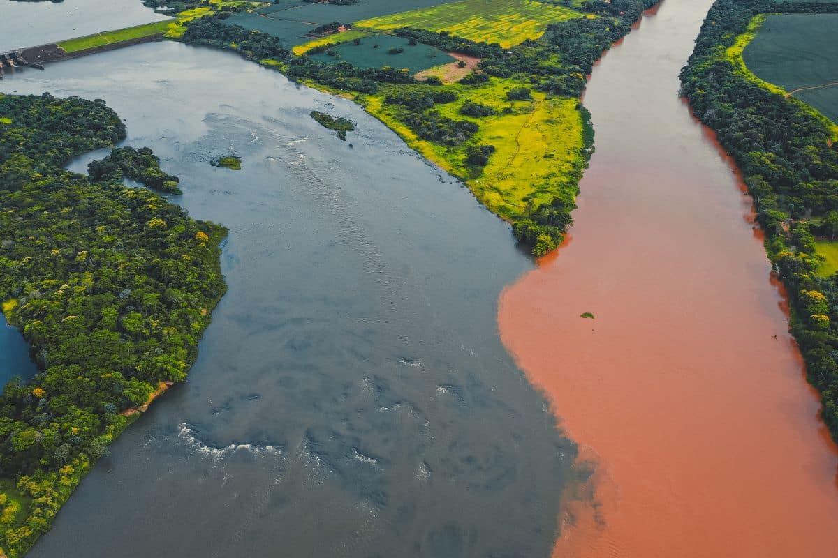 Amazonas perdeu em setembro superfície de água equivalente à área do Distrito Federal