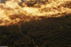 Amazônia à prova de fogo exige planejamento, política pública e ciência