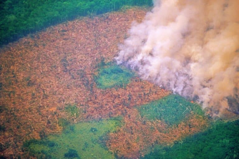 Como o Brasil pode incorporar 40 milhões de hectares sem desmatamento nos próximos 10 anos