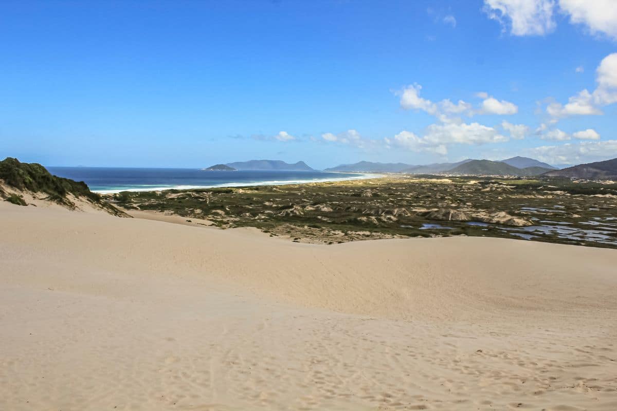 Lançamento de esgoto em dunas de Florianópolis causa soterramento e danos à restinga