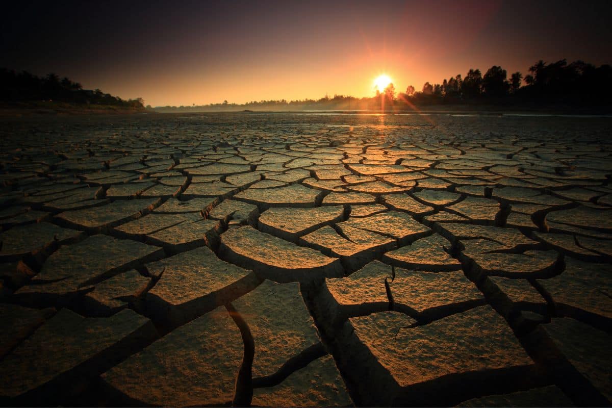 Na Science, pesquisador da UFSC alerta para secas, cheias e escassez de água no Hemisfério Sul