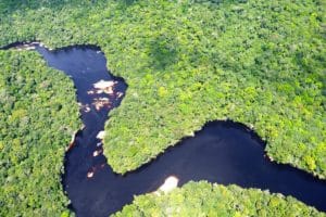 Taxa de desmatamento na Amazônia cai 22,3% em 2023