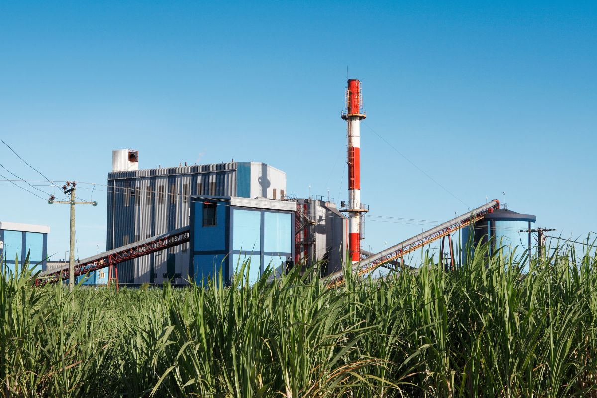 Tecnologia une biomassa de cana com captura e armazenamento de carbono