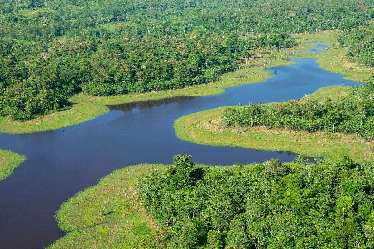 Aquecimento global tornou seca na Amazônia 30 vezes mais provável