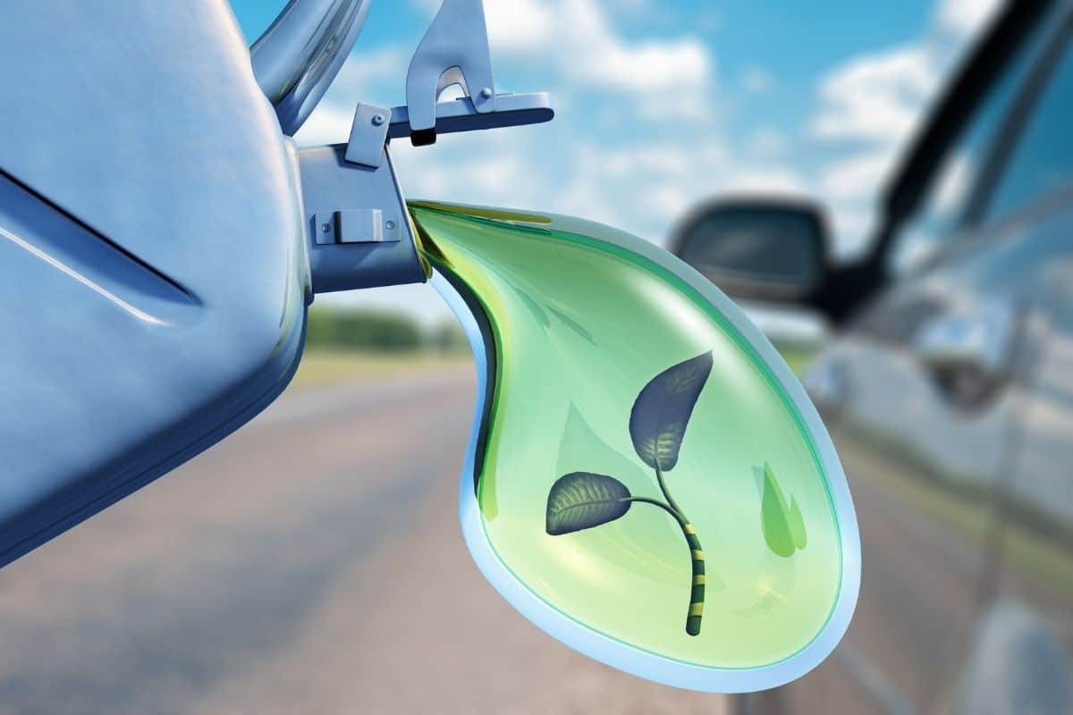 Biocombustíveis precisam ser valorizados como energia limpa e política de Estado
