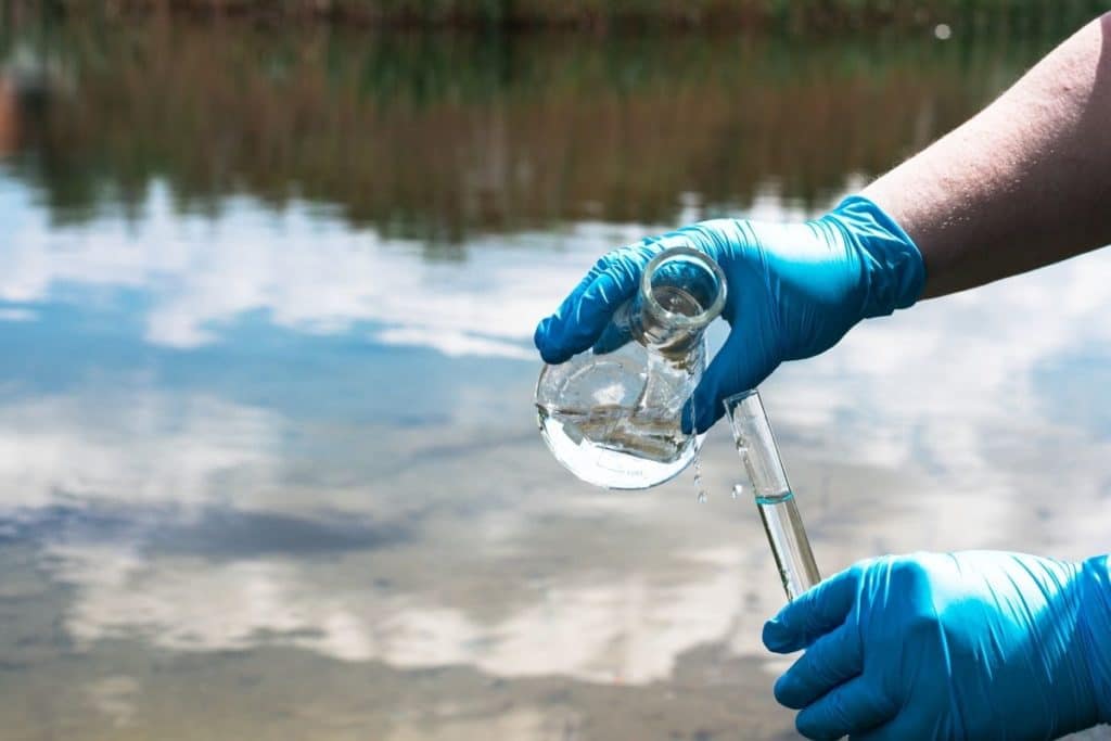 Biomassa reduz até 98% de poluentes emergentes em águas de abastecimento