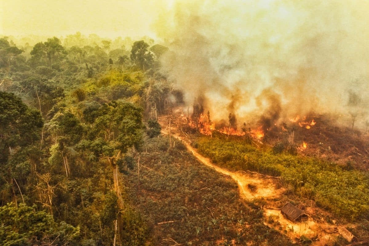 Brasil queimou área do tamanho do Uruguai em 2023