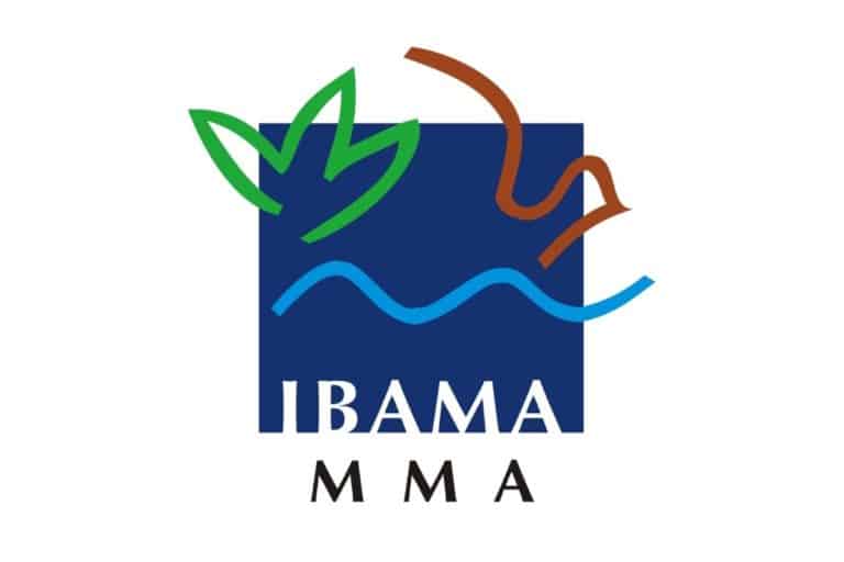 Ibama pede mais dados à Petrobras sobre exploração da Margem Equatorial