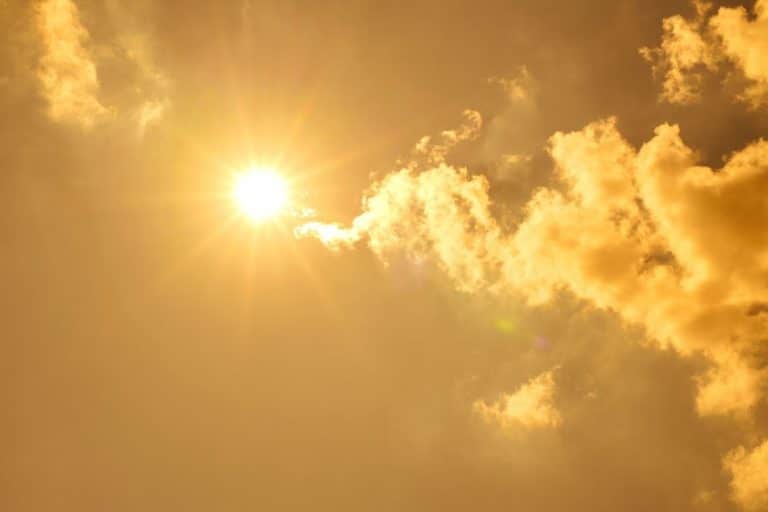 Brasil está preparado para novas ondas de calor em 2024?
