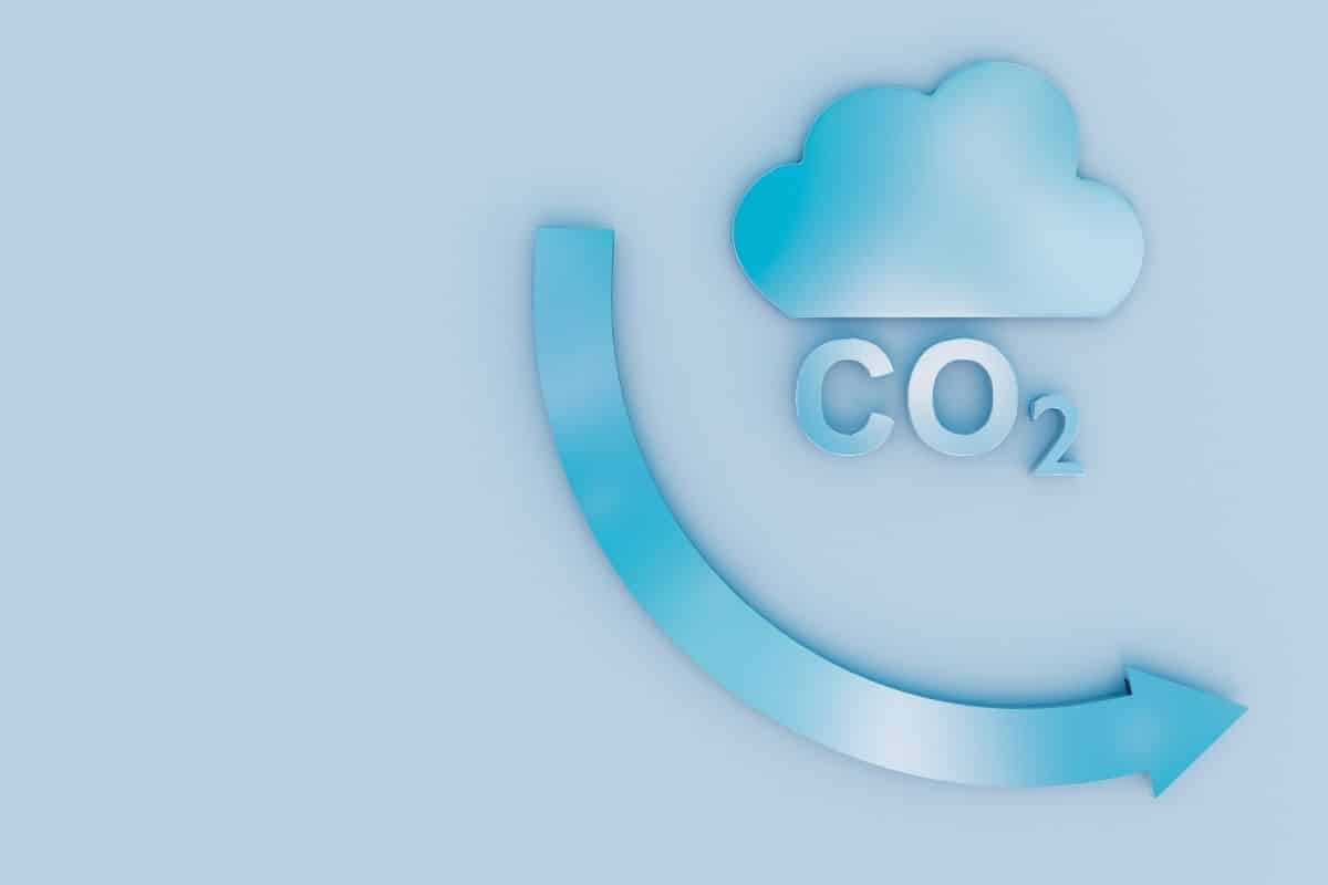 Agenda da descarbonização tende a acelerar, diz CEO da Vibra