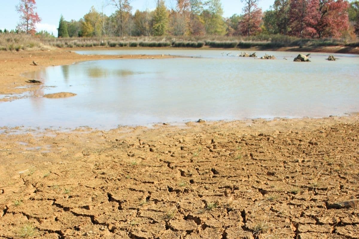 Bacias hidrográficas localizadas no Cerrado brasileiro perderam água continuamente entre 2000 e 2019