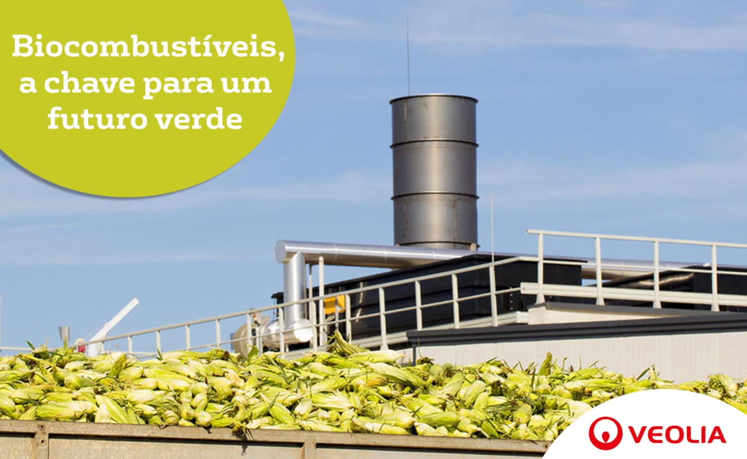 Biocombustíveis, a chave para um futuro verde | Veolia Water Technologies