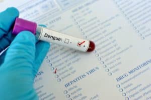 Com 30,3 mil casos e 6 mortes por dengue apenas em janeiro, DF registra aumento de 920,5%