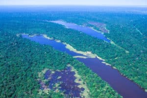 Com clima e desmate descontrolados, Amazônia começa a colapsar em 2050, diz estudo