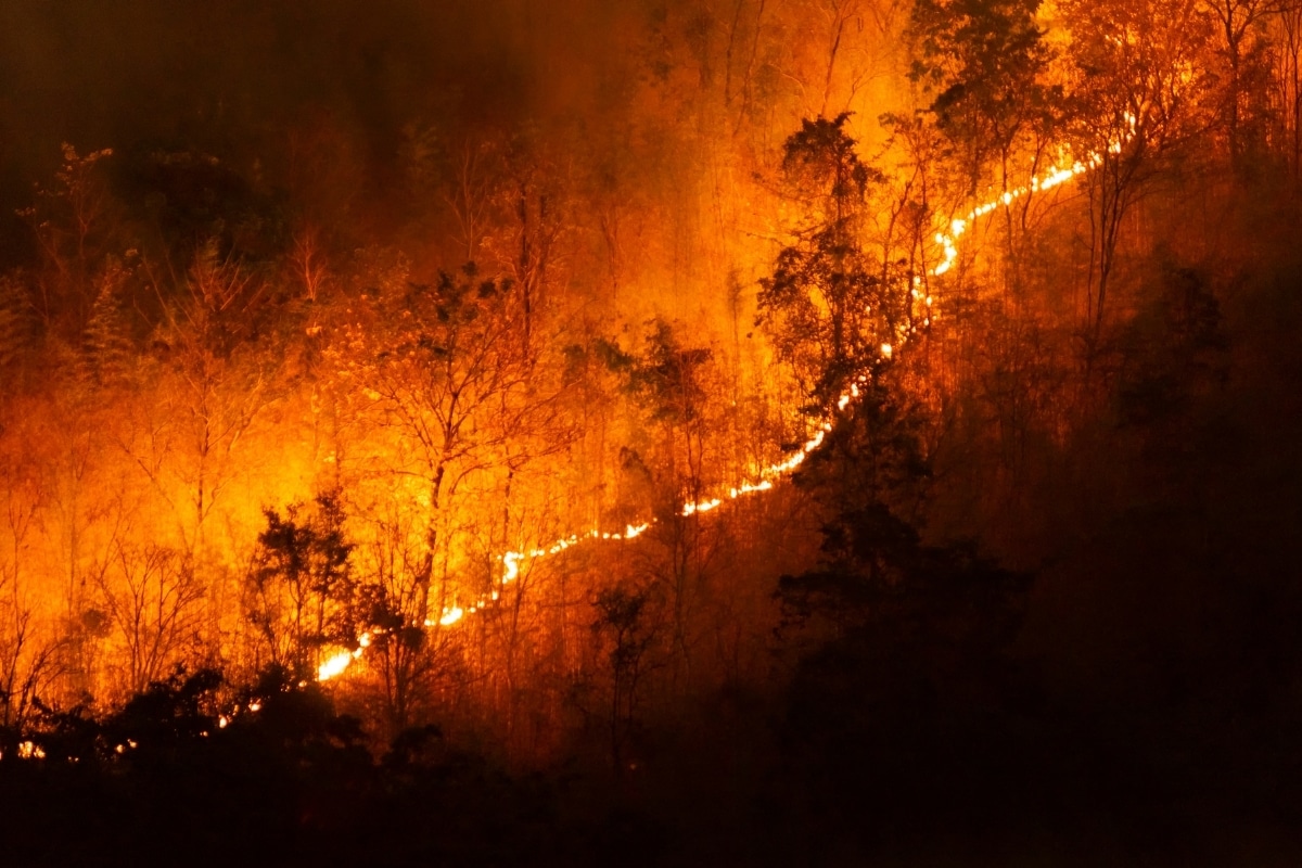Entenda a tempestade de fogo que provocou mais de 100 mortes no Chile (1)