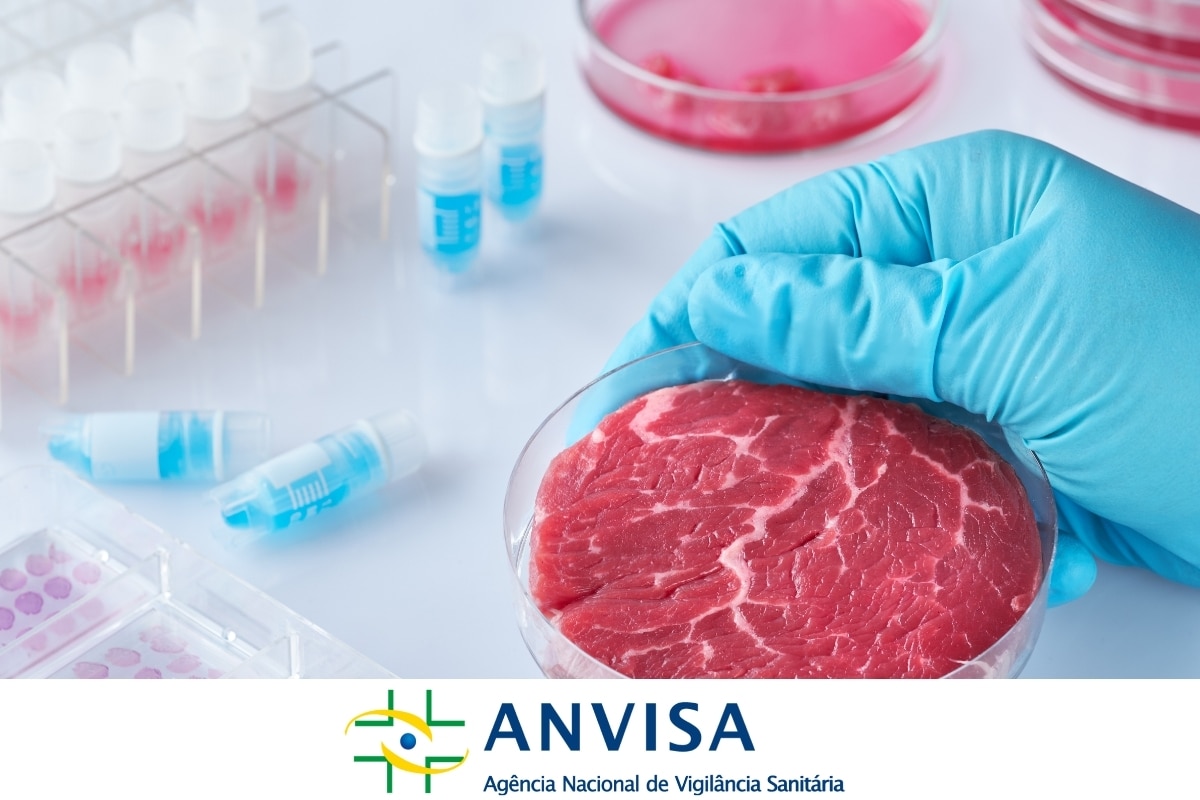 O que a Anvisa diz sobre a ‘carne cultivada’ e outras proteínas alternativas