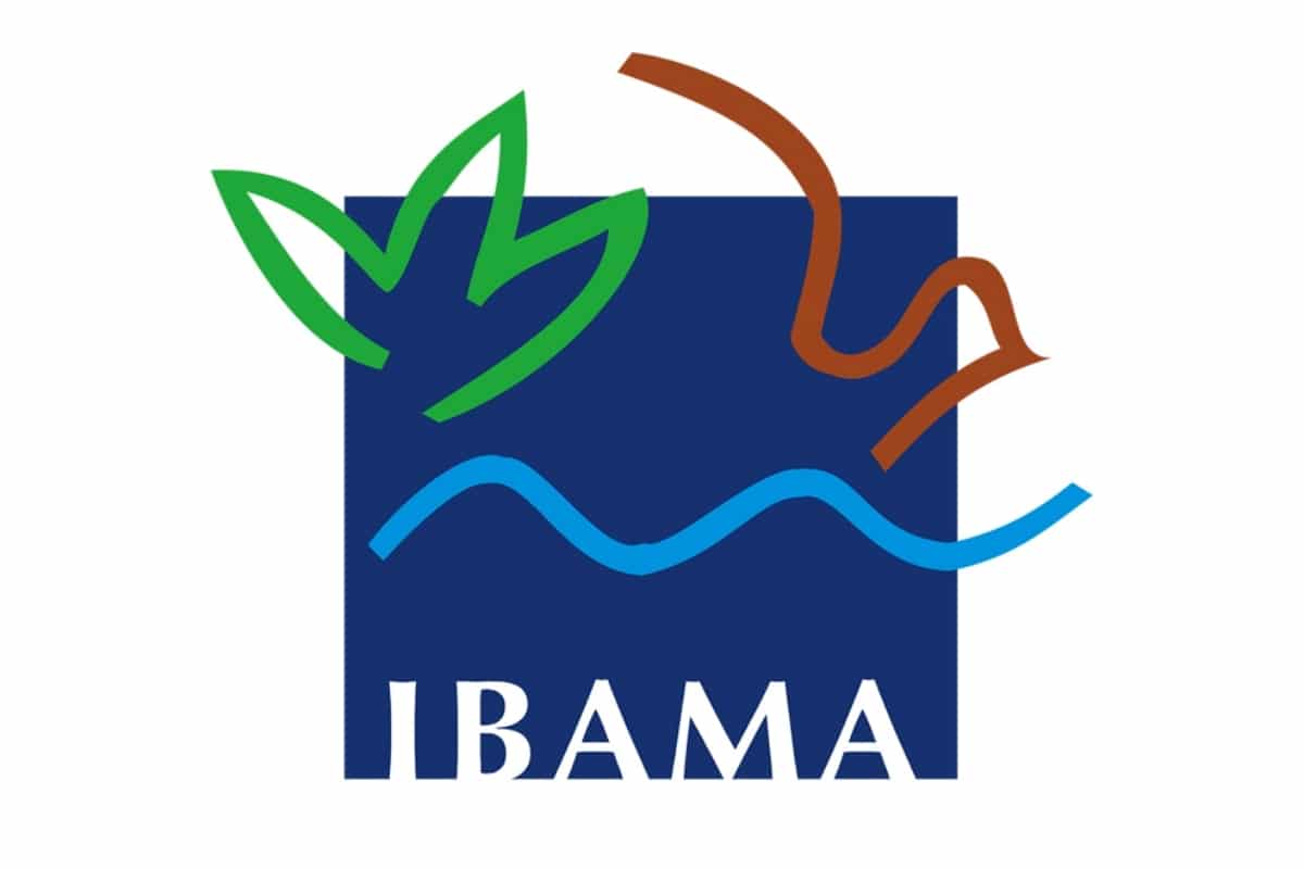 Paralisação no Ibama acende alerta de setores estratégicos da economia