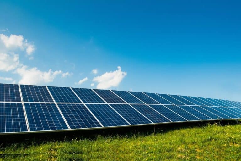 Transição energética e compensação de carbono uma mistura para o futuro do planeta