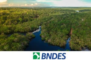 re.green recebe R$ 187 milhões em financiamento do BNDES para restaurar 15 mil hectares na Amazônia e na Mata Atlântica